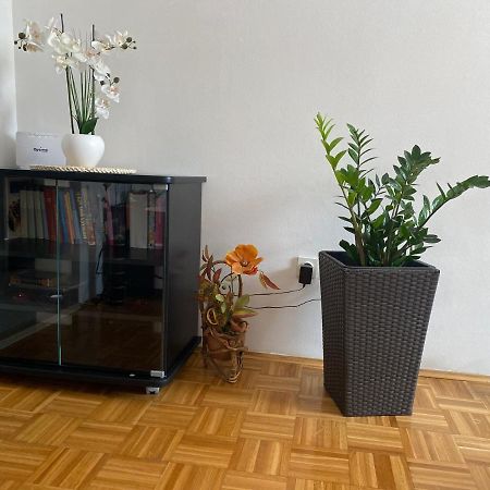 Apartment Miana Traù Esterno foto